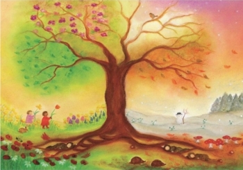 Poster Vierseizoenenboom